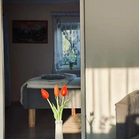 아파트 Pod Debem *