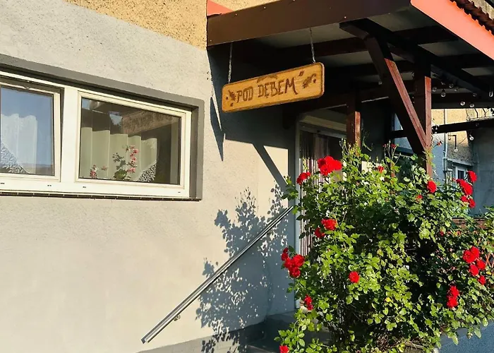 Pod Debem アパート *